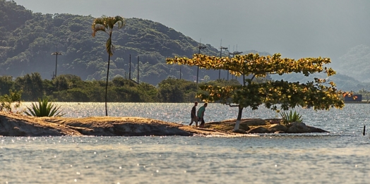 IAT divulga primeiro boletim que indica condições de banho e prática de esportes
