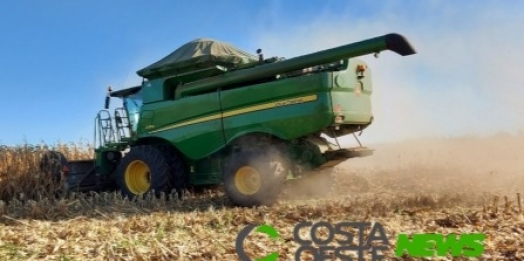 IBGE: safra de 2021 deve superar recorde de 2020