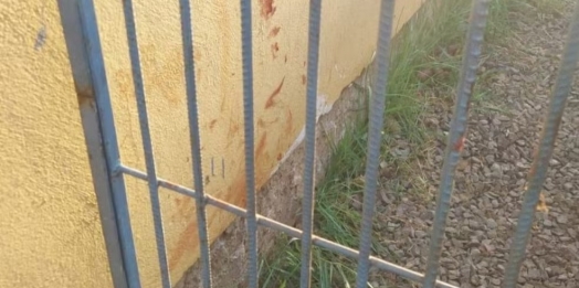 Idoso de 86 anos fica em estado grave após ataque de pitbull da família, em Cascavel
