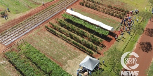 IDR-Paraná organiza a 11ª Jornada Tecnológica de Fruticultura, em Santa Helena