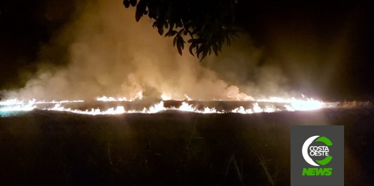 Incêndio em vegetação é registrado no Balneário de Santa Helena; veja o vídeo