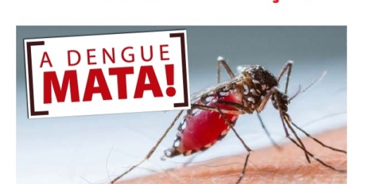 Índice de infestação do mosquito da dengue acima de 6% preocupa setor de saúde em Santa Helena