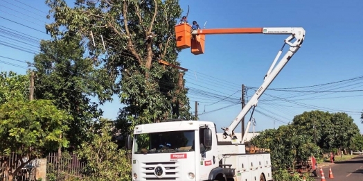 Iniciada a poda de árvores no perímetro urbano de São Miguel do Iguaçu