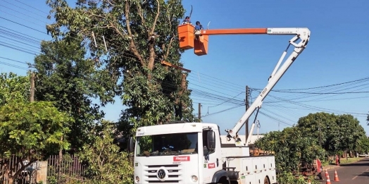 Iniciada a poda de árvores no perímetro urbano de São Miguel do Iguaçu