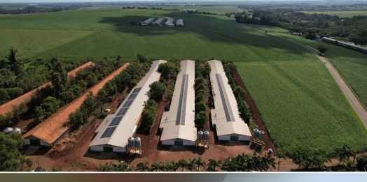 Inscrições para reformas de aviários, chiqueirões e biodigestores encerram nesta semana