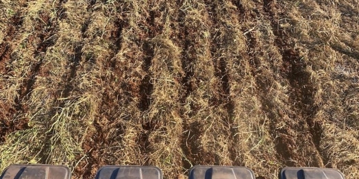 Inverno: Congresso de Agricultura de Baixo Carbono será durante Show Rural