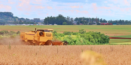 Itaipulândia decreta Situação de Emergência pela crise hídrica e apoia produtores