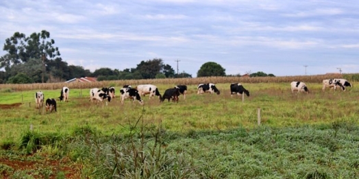 Itaipulândia: Município destina 14,5 milhões de reais para Programas da agricultura