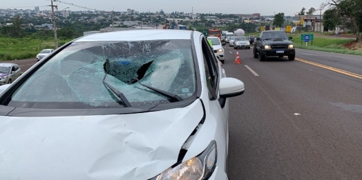Jovem é atropelado por carro na BR 277 em Cascavel