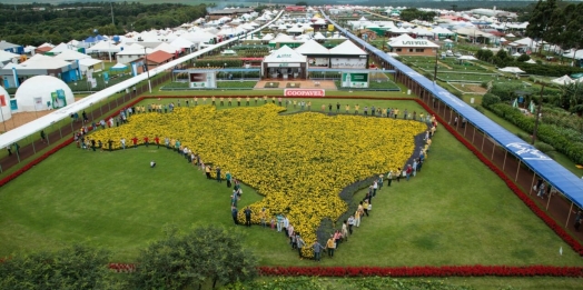 Lançamento do Show Rural terá corrida, brinquedos infláveis e espaço para família