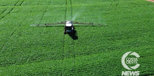 Lavoura da Soja 2025/2026