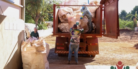 Mais de 30 toneladas de embalagens de defensivos agrícolas foram recolhidas em Missal