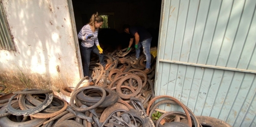 Mais de 5 toneladas de pneus inservíveis em Missal tiveram destinação para reciclagem