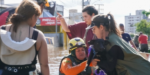 Mais de 76 mil pessoas e 11 mil animais foram resgatados no Rio Grande do Sul