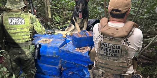 Mais de uma tonelada de maconha é apreendida em Santa Helena