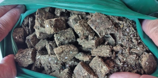 Menor é apreendido tentando jogar maconha para dentro da Cadeia Pública de Guaíra