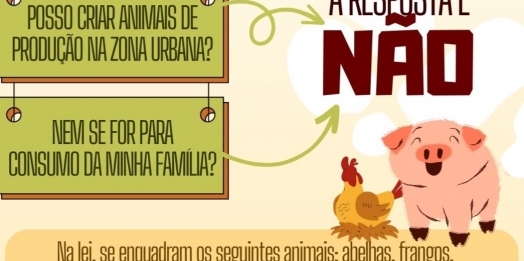 Missal: Vigilância Sanitária alerta sobre leis que proíbem a criação de animais de produção na Zona Urbana