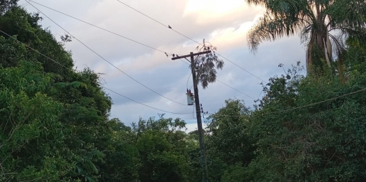 Moradores da Linha Pinheirinho, em Serranópolis do Iguaçu, relatam prejuízos após 24h sem energia elétrica