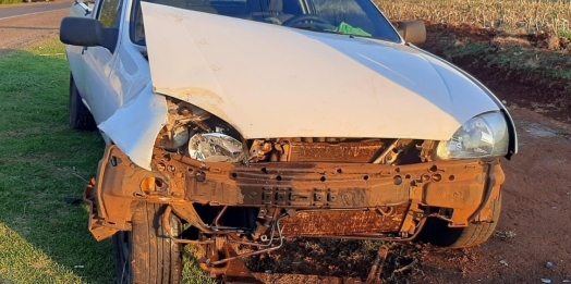 Motorista colide veículo em palmeira na PR 488, em Santa Helena