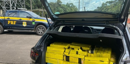 Motorista é preso traficando 170 kg de maconha na BR 277