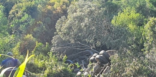 Motorista morre após caminhão cair em ribanceira na BR-277