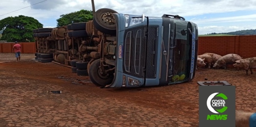 Motorista tomba carreta carregada com suínos na PR 317 em Santa Helena
