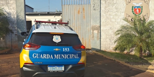 Mulher é detida em flagrante por furto em estabelecimento comercial