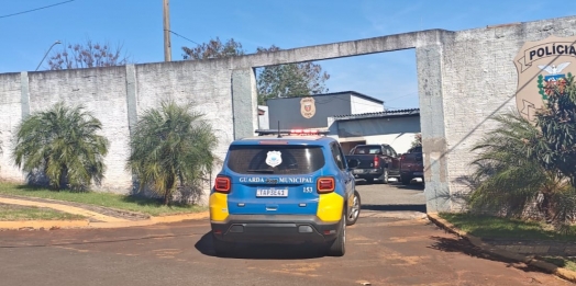 Mulher Invade PROVOPAR, agride funcionária e danifica computador em São Miguel do Iguaçu