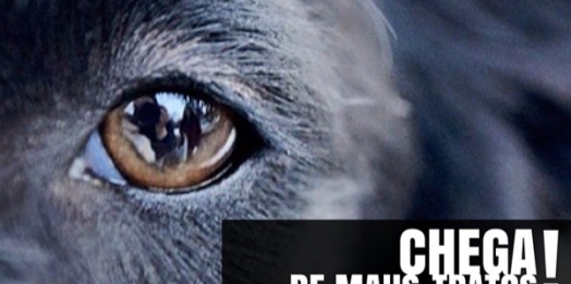 Mulheres presas após matar filhotes em Foz praticavam zoofilia, diz denúncia