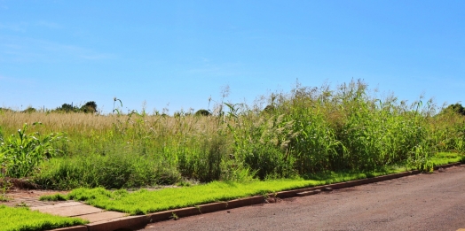 Multa será aplicada a proprietários de terrenos baldios em Itaipulândia