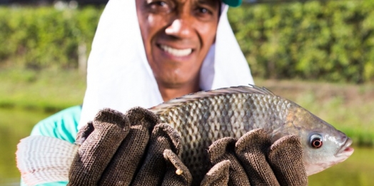 Itaipulândia realiza Chamamento Público para piscicultura comercial