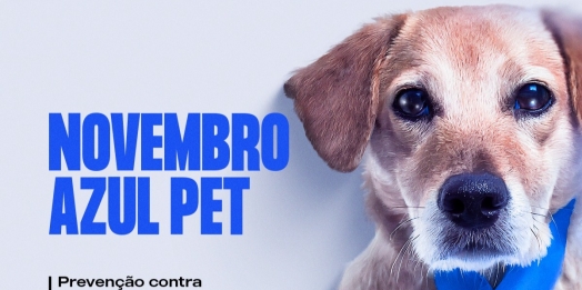 Novembro azul: Câncer de próstata também pode atingir os animais de estimação