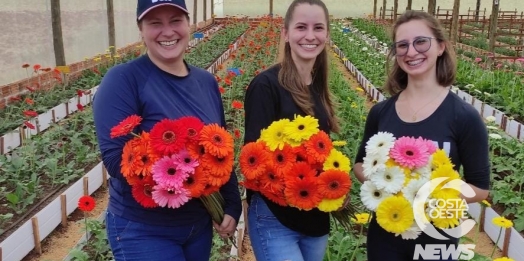 Onde prospera milho e soja três irmãs decidiram inovar cultivando flores