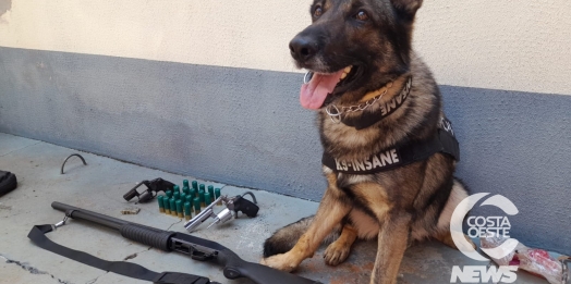 Operação da Polícia Civil em Santa Helena apreende armas, veículos e detém duas pessoas