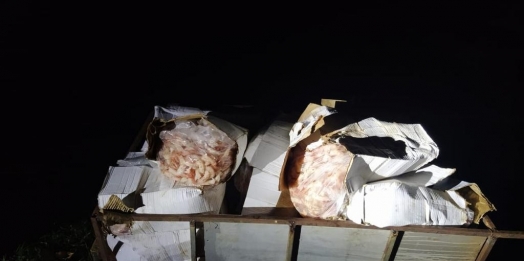 Operação Fronteira RFB - Força Tarefa apreende 144 kgs de camarão e 75 kgs de picanha na Aduana da Ponte Tancredo Neves