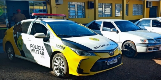 Operação policial apreende pneus contrabandeados na PR 586