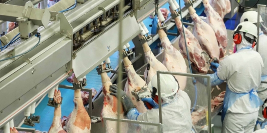 Paraná ampliou a produção e o protagonismo na cadeia de carnes em 2020