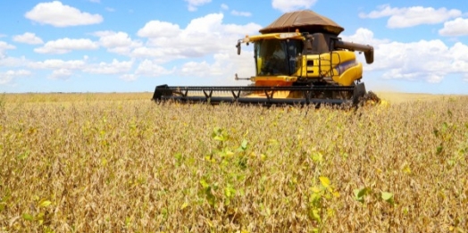 Paraná deve produzir 14,74 milhões de toneladas de grãos na safra de verão
