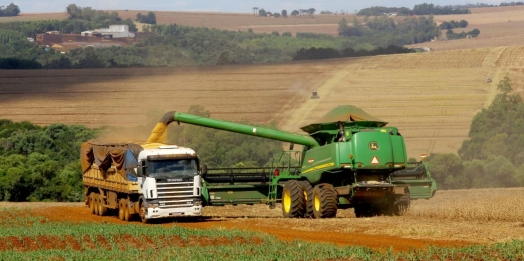 Paraná prevê colher 22,54 milhões de toneladas na safra de verão 21/22