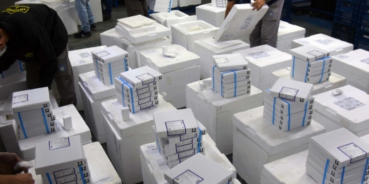 Paraná recebe 376 mil vacinas contra a Covid-19 para dose de reforço