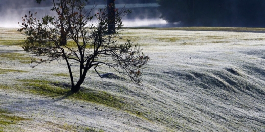 Paraná se prepara para semana de frio ‘insuportável’; neve não está descartada