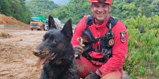 Paraná vai mandar novos bombeiros com cães de busca para o Rio Grande do Sul