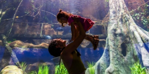 Participantes do FITCataratas contam com benefícios em hotéis e atrações de Foz do Iguaçu