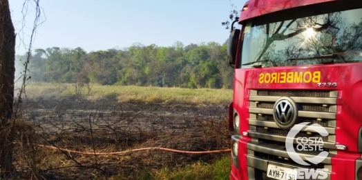 Pela terceira vez na semana, Bombeiros e Defesa Civil combatem incêndio na Linha União, em Santa Helena