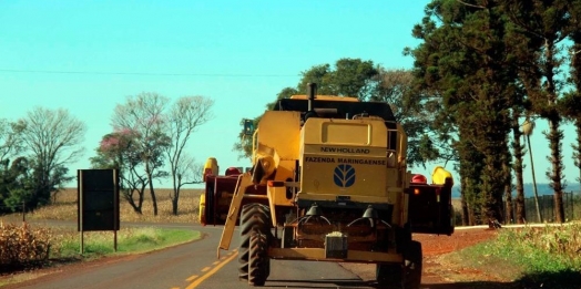 Período de colheita do milho requer mais atenção de condutores nas rodovias