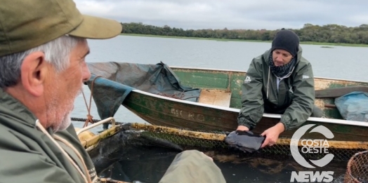 Pescadores consolidam criação de pacu e sonham em poder também criar tilápia no Lago de Itaipu