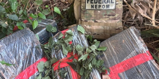 PF apreende quase 100 kg de maconha em Santa Helena