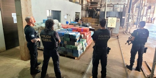 PF destrói 9 toneladas de drogas na terceira operação de incineração do ano