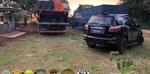 PF e BPFron apreendem caminhões com cigarros contrabandeados em São José das Palmeiras
