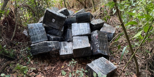 PF e PM apreedem quase 1 tonelada de maconha em Itaipulândia/PR